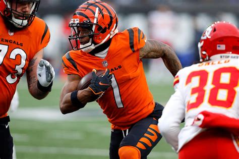 how bengals clinch afc north